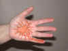 Henna9.JPG (149177 bytes)